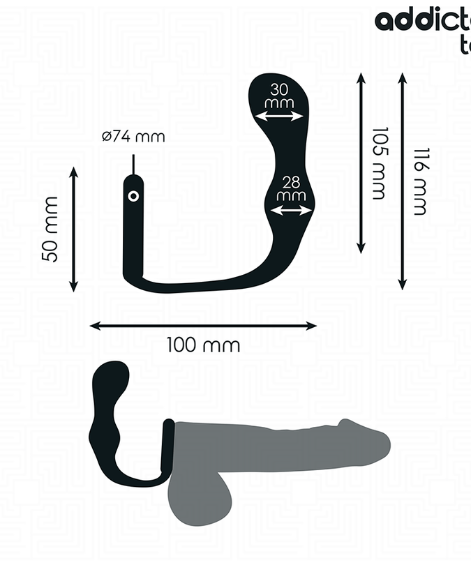 ADDICTED TOYS - ANAL PLUG WITH RING SILICONE MODEL 3