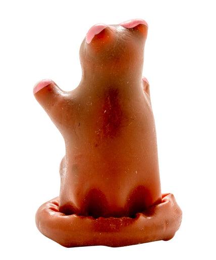 CONDOMERIE - HANDPAINTED NOVELTY CONDOMS TEDDY BEAR