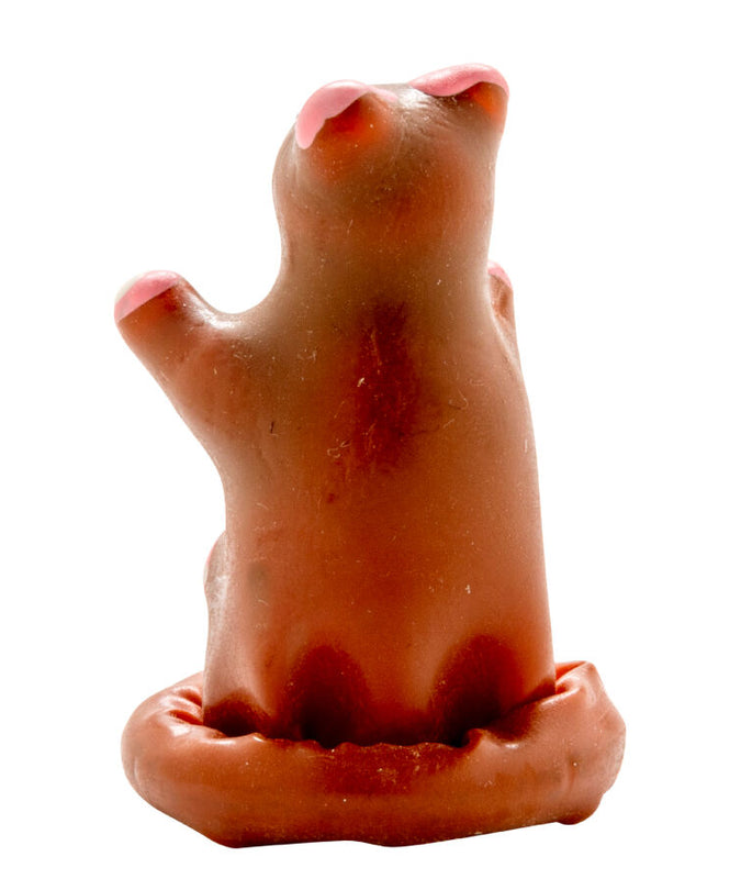 CONDOMERIE - HANDPAINTED NOVELTY CONDOMS TEDDY BEAR