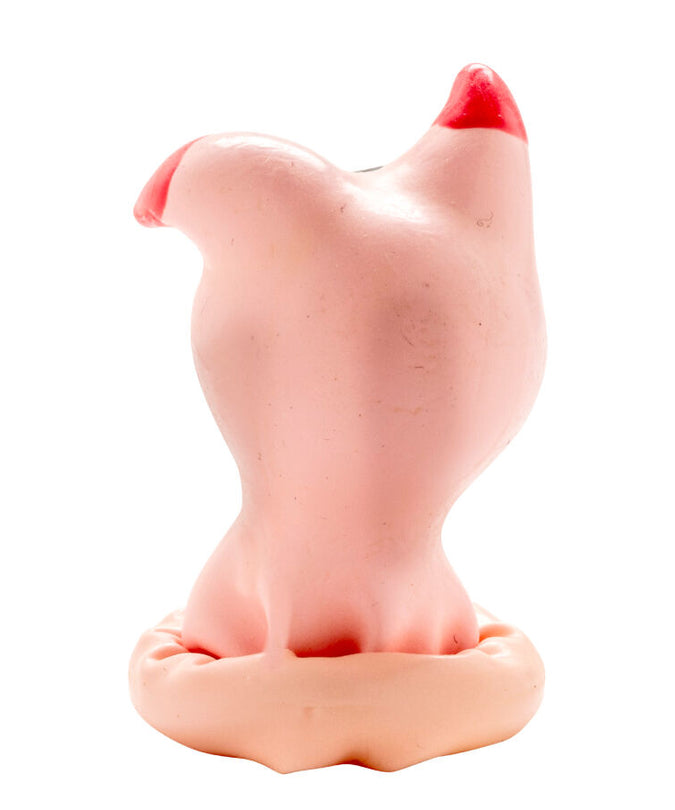 CONDOMERIE - HANDPAINTED NOVELTY CONDOMS PIG HEAD