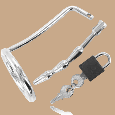 Metal Hard Testicle Ring with Urethral Chastity Plug – Stainless Steel
