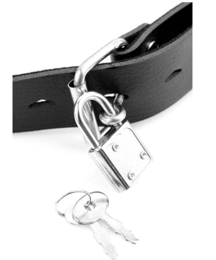 FETISH FANTASY SERIES - SERIES DELUXE BALL GAG WITH DILDO