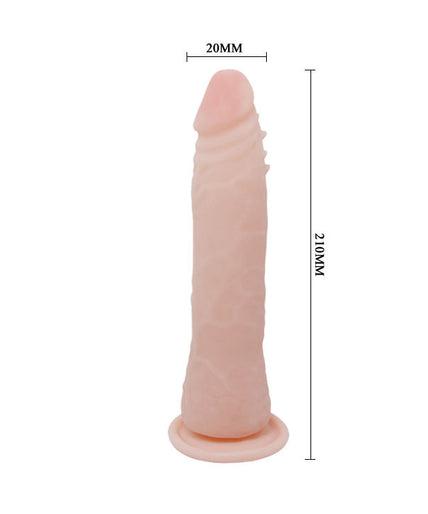 BAILE - FIT REALISTIC TPR VERTEBRATE 20.1 CM