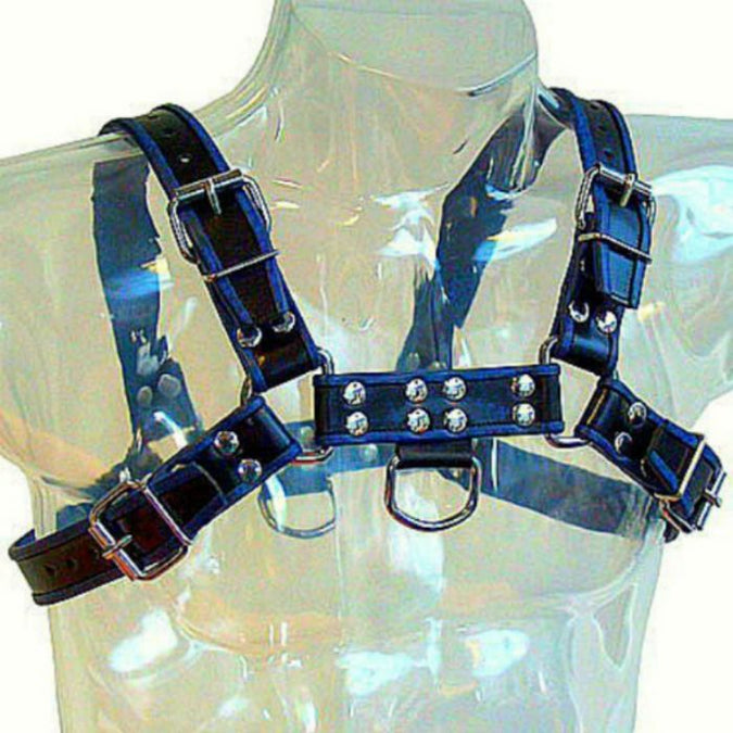 Lederen Body – Blauw En Zwart Lederen Harnas Borst Bulldog