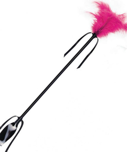 SECRETPLAY - BLACK AND FUCHSIA WHIP & FEATHER