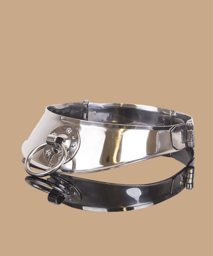 Metalen Harde Fixatiehalsband met Ring – Roestvrij staal