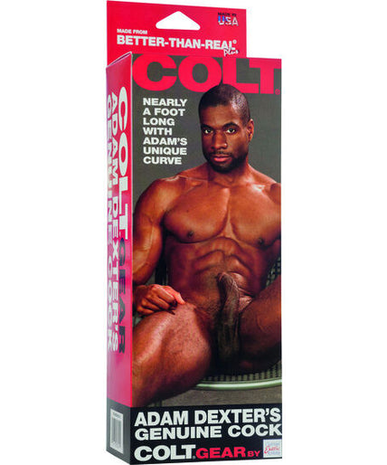 Calexotics – Colt Adam Dexter's Cock Dildo 21 cm