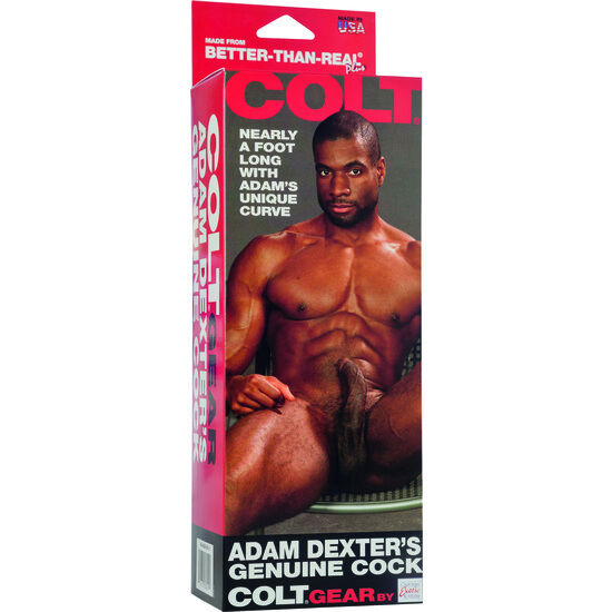 Calexotics – Colt Adam Dexter's Cock Dildo 21 cm