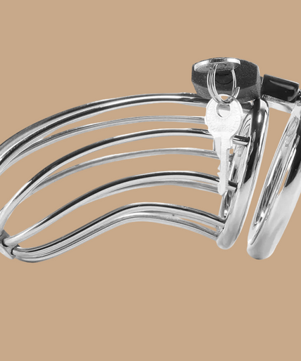 Metal Hard Bird Chastity Cage – Stainless Steel