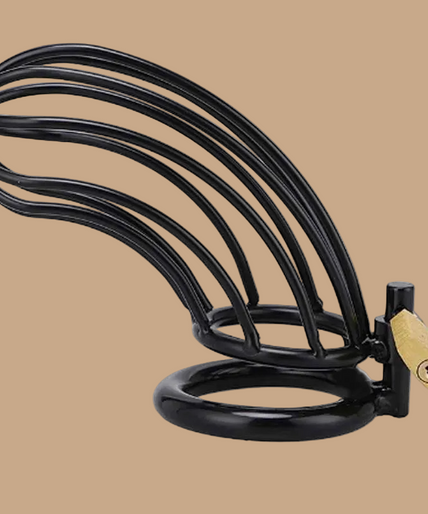 Metal Hard Black Bird Chastity Cage – Stainless Steel