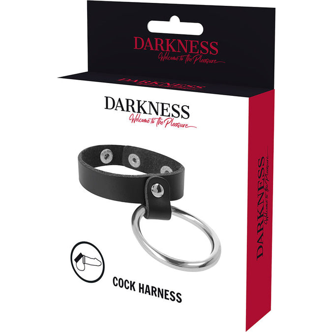 DARKNESS - METALEN RING VOOR DE PENIS EN TESTIKELS