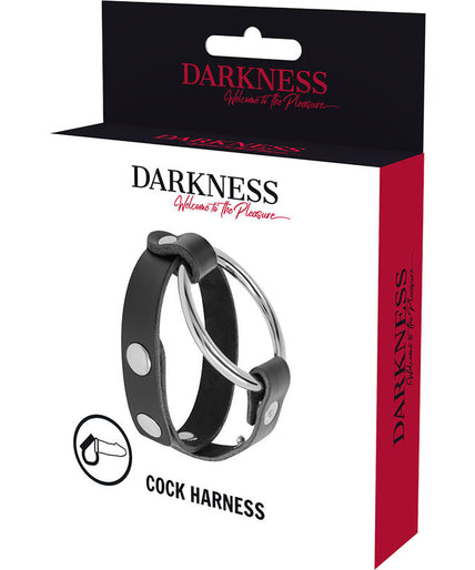 DARKNESS - BDSM COCK AND TESTICLE RING