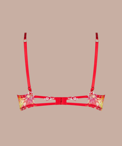 Lise Charmel Soft padded Bra Foret Rubis (Beautiful ruby red) - Pleasurements